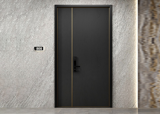 Sugerencia sincera: ¡Elija una puerta de entrada blindada!