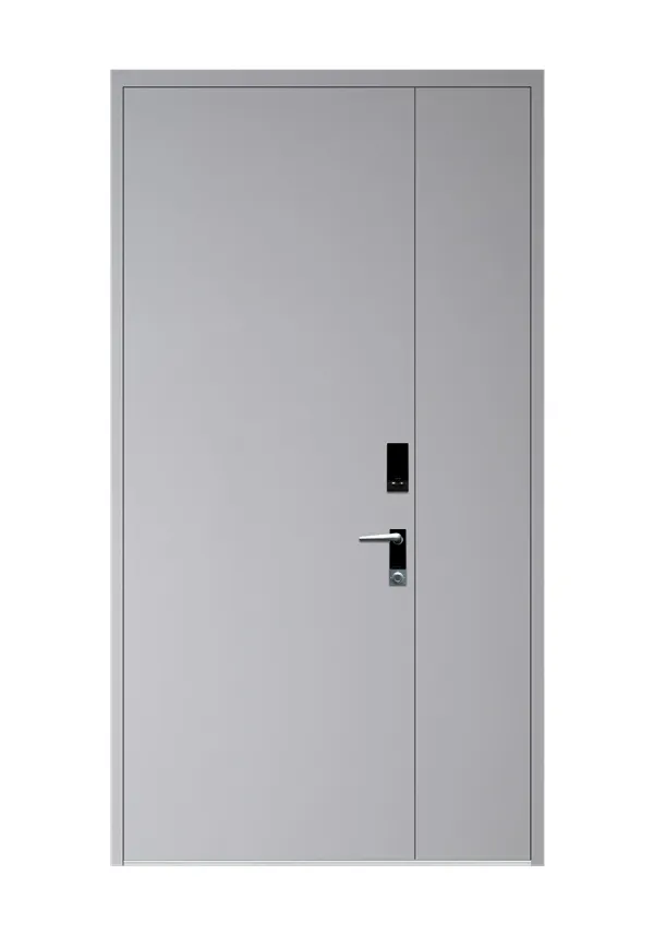 Puertas de acero: la mejor fusión de seguridad y estética